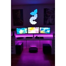 Nanopro 5 mt Animasyonlu Kumandalı RGB Şerit Işık Aydınlatma Ultra Pixel Yapışkan Set