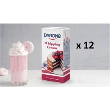 Danone Sıvı Şanti X12 1 Koli