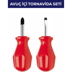 2'li Avuç Içi Tornavida Seti Düz Yıldız