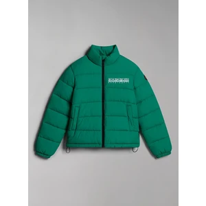 Yeşil Erkek Mont NP0A4GN1G1M1 K A-Bachar