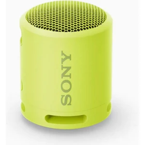 SRS-XB13 Taşınabilir Bluetooth Hoparlör IP67 Suya ve Toza Dayanıklı (Yurt Dışından)