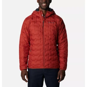 Delta Ridge Down Hooded Jacket Erkek Mont WO0954-849