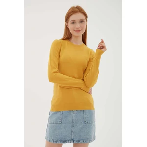 Fashion Friends Bisiklet Yaka Slim Fit Ince Triko Kazak Bayan Kazak 23K0777K1