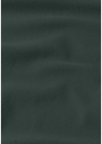 1710541-4161 Baiselberg Hooded Fz M Erkek Polar Ceket fiyatları