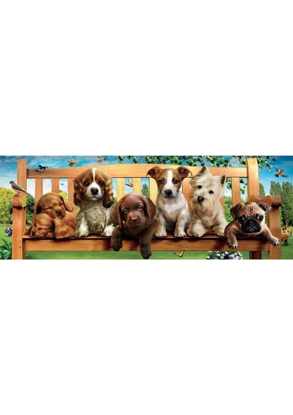 -1000 Puppies On A Bench Panorama