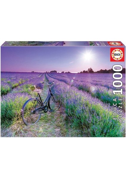 1000 Bıcıcleta Campo Lavanda F