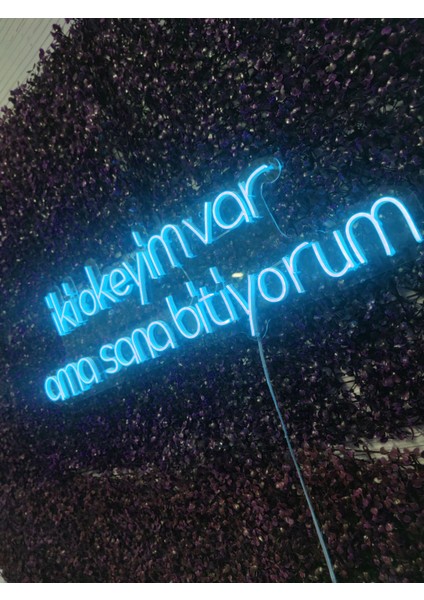 Iki Okeyim Var Ama Sana Bitiyorum Yazılı Neon LED TABELA(80X35CM fiyatları