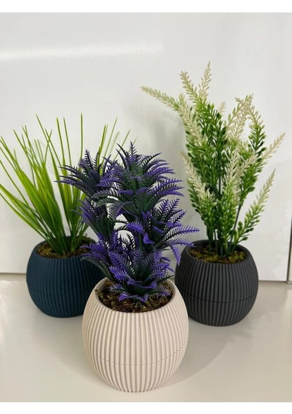 Mini 3'lü Set Karma Mini Saksıda Gerçek Yosunlu Yapay Çiçek Aranjman Hediyelik Paket Saksı