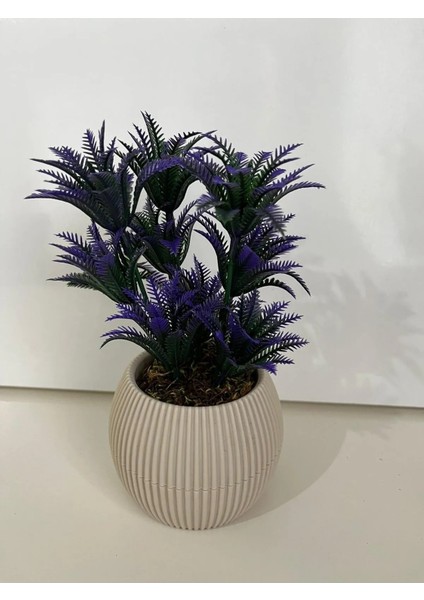 Mini 3'lü Set Karma Mini Saksıda Gerçek Yosunlu Yapay Çiçek Aranjman Hediyelik Paket Saksı fiyatları