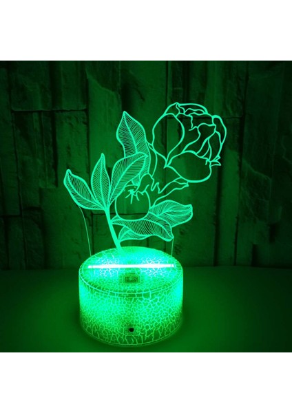 16 Renk Çiçek Lamba Uzaktan Kumanda ile Parlaklık Ayarını Değiştirme 3D Illusion Oda Dekoru Için LED Gece Işıkları Doğum Günü Tatilleri Noel Hediyesi (Stil F) (Yurt Dışından)