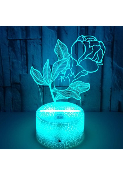16 Renk Çiçek Lamba Uzaktan Kumanda ile Parlaklık Ayarını Değiştirme 3D Illusion Oda Dekoru Için LED Gece Işıkları Doğum Günü Tatilleri Noel Hediyesi (Stil F) (Yurt Dışından) modelleri