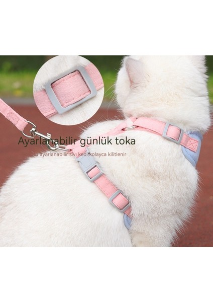 Açık Pet Ayarlanabilir Pet Boyunluk (Yurt Dışından) modelleri