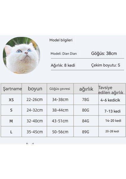 Açık Pet Ayarlanabilir Pet Boyunluk (Yurt Dışından) indirimleri