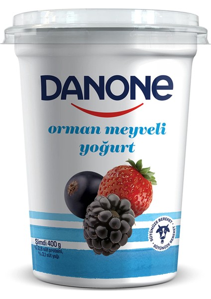 Meyveli Yoğurt Orman Meyveli 400G