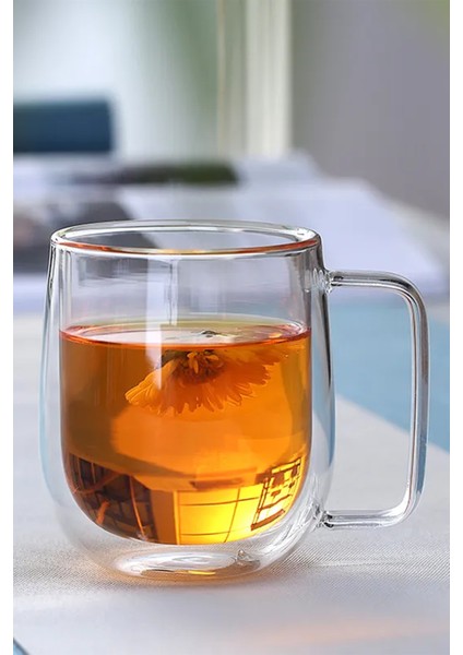 Çift Cidarlı Borosikilat Cam Isıya Dayanıklı Kupa Bardak 1 Adet 250 ml