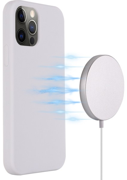 Iphone 12/12 Pro Telefon Kılıfı Magsafe Sıvı Silikon Telefon Kılıfı Manyetik Emilim Cep Telefon Kapağı [kablosuz Şarj Destekleme] ile Uyumlu (Yurt Dışından) fırsatları