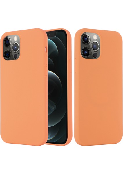 Iphone 12/12 Pro Telefon Kılıfı Magsafe Sıvı Silikon Telefon Kılıfı Manyetik Emilim Cep Telefon Kapağı [kablosuz Şarj Destekleme] -Orange ile Uyumlu (Yurt Dışından)