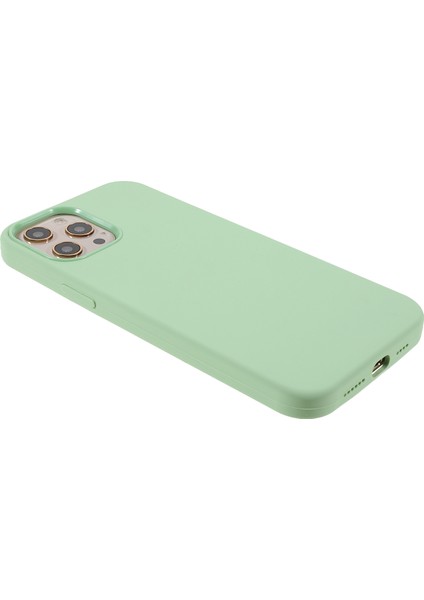 Iphone 12 Pro Max 6.7 Inç Için Yumuşak Dokunmatik Katı Silikon Tam Vücut Koruyucu Kasa - Nane Yeşil (Yurt Dışından) fırsatları