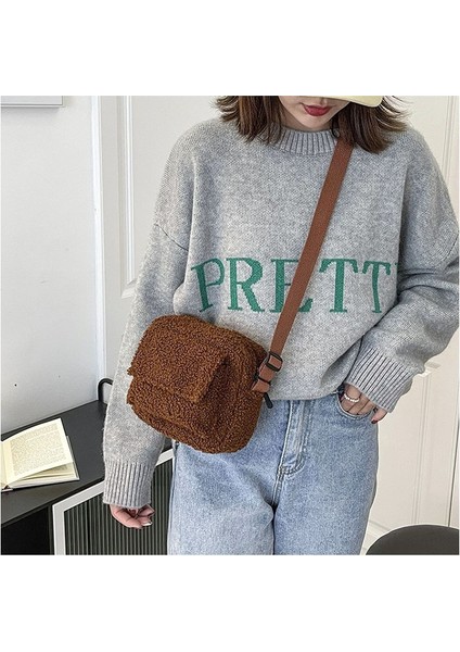 Auburn Kore Peluş Kumaş Kadın Omuz Crossbody Çanta Küçük Moda Kuzu Yünü Kabarık Kürk Kış Kadın Çantası Tasarımcı Çanta 2022 (Yurt Dışından) fiyatları