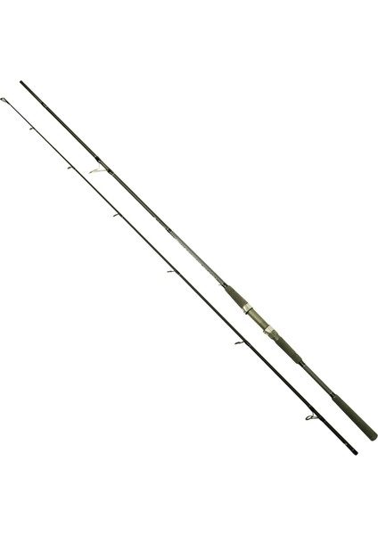 1465 Assai Spin 2 Parça Shore Jig Kamışı 30-125GR Atar