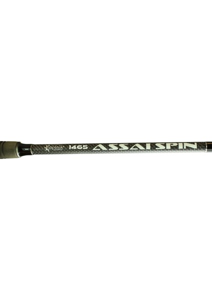 1465 Assai Spin 2 Parça Shore Jig Kamışı 30-125GR Atar