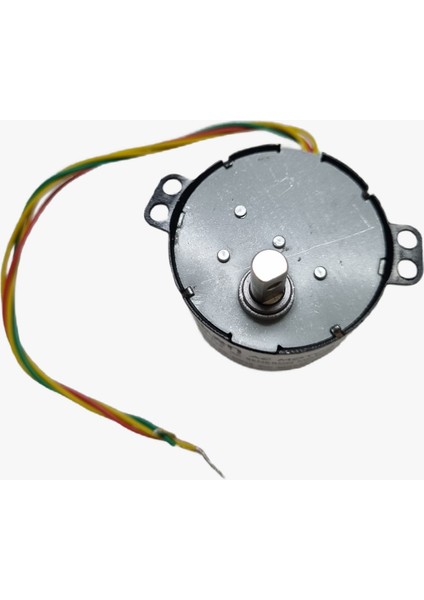 Dişli Redüktörlü Dakikada 20 Tur Dönen 220V 6W Ac Senkron Motor, modelleri