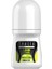 Terlemeye Karşı Etkili Lime & Cool Energizing Roll-On Deodorant - 50 ml 1