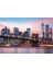 1000 Puente De Brooklyn Neon F 2