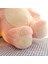 30CM Pembe Çilek Ayı Hayvan Peluş Bebek (Yurt Dışından) 5