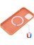 Iphone 12/12 Pro Telefon Kılıfı Magsafe Sıvı Silikon Telefon Kılıfı Manyetik Emilim Cep Telefon Kapağı [kablosuz Şarj Destekleme] -Orange ile Uyumlu (Yurt Dışından) 2
