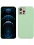Iphone 12 Pro Max 6.7 Inç Için Yumuşak Dokunmatik Katı Silikon Tam Vücut Koruyucu Kasa - Nane Yeşil (Yurt Dışından) 1