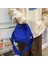 Kadınlar Için Siyah Moda Küçük Tuval Crossbody Çanta 2022 Mini Omuz Telefon Çanta Kız Öğrenci Pamuklu Bez Mini Kadın Çanta Flap (Yurt Dışından) 5