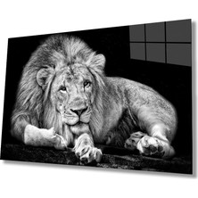 Miray Life Aslan Hayvan  Cam Tablo