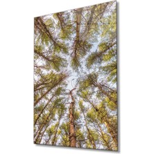 Miray Life Ağaçlar Cam  Tablo  Trees Painting