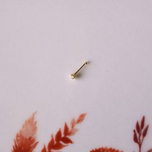 Heppii Cerrahi Çelik Gold Renk Çelik Yıldızlı Burun Piercing  Yıldızlı Hızma