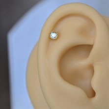 Heppii Gold Cerrahi Çelik Tektaş Piercing Helix Lob Kıkırdak Tragus