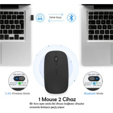 Blue İnter LE101 Bluetooth & Wireless Şarj Edilebilir Kablosuz Mouse - Siyah