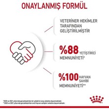 Royal Canin Mini Puppy Yavru Köpek Maması 2 kg