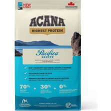 Acana Pacıfıca Balıklı Tahılsız Köpek Maması 2 kg
