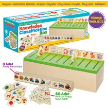 Circle Toys Ahşap Bilgi Sınıflandırma Kutusu Eğitici Mazgallı Oyuncak 88 Parça Knowledge Classification Box