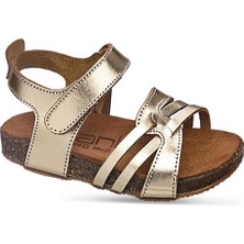 Sanbe 510 T 2012 21-25 Kız Deri Çocuk Sandalet Dore