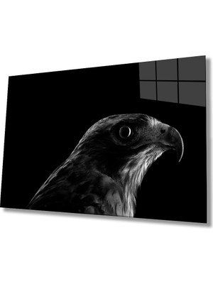 Miray Life Kartal Hayvan  Cam Tablo