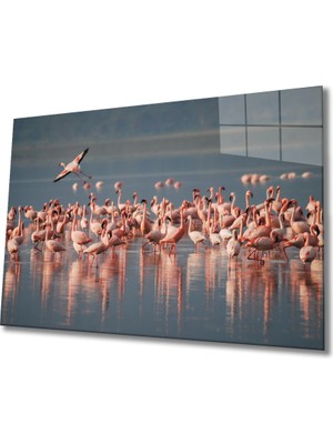 Miray Life Flamingo Cam Tablo