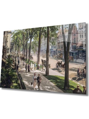 Miray Life Faytonlu Park Cam Tablo Old Street