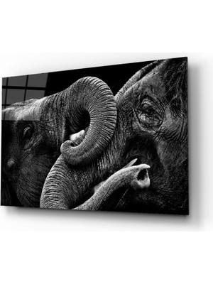 Miray Life Fil Hayvan  Cam Tablo