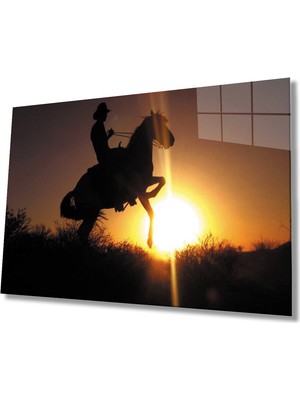 Miray Life Gün Batımında At