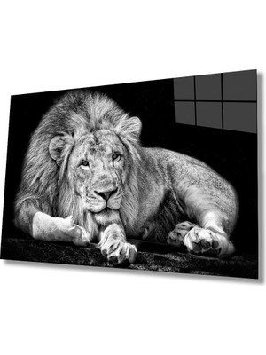 Miray Life Aslan Hayvan  Cam Tablo