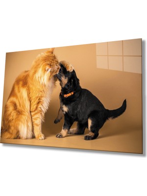 Miray Life Kedi  Köpek Cam Tablo