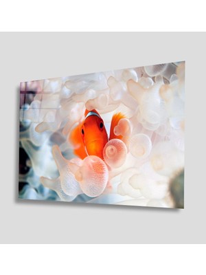 Miray Life Sualtı Cam Tablo