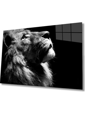 Miray Life Aslan Cam Tablo